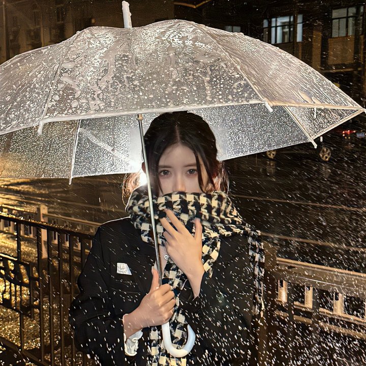 那夜凌晨，我坐上了旺角开往大埔的红VAN